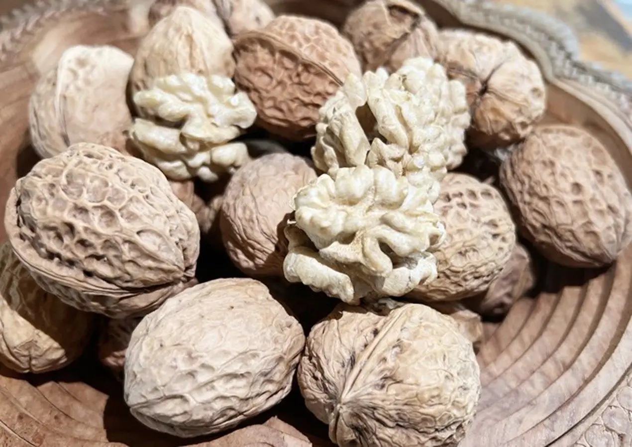 核桃坚果连续液压冷榨系统