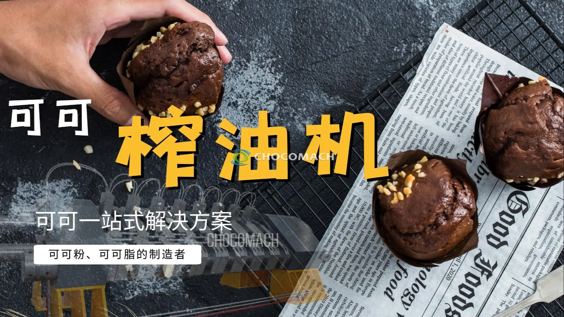 可可榨油机国产升级，成本低，售后无忧，品质之选