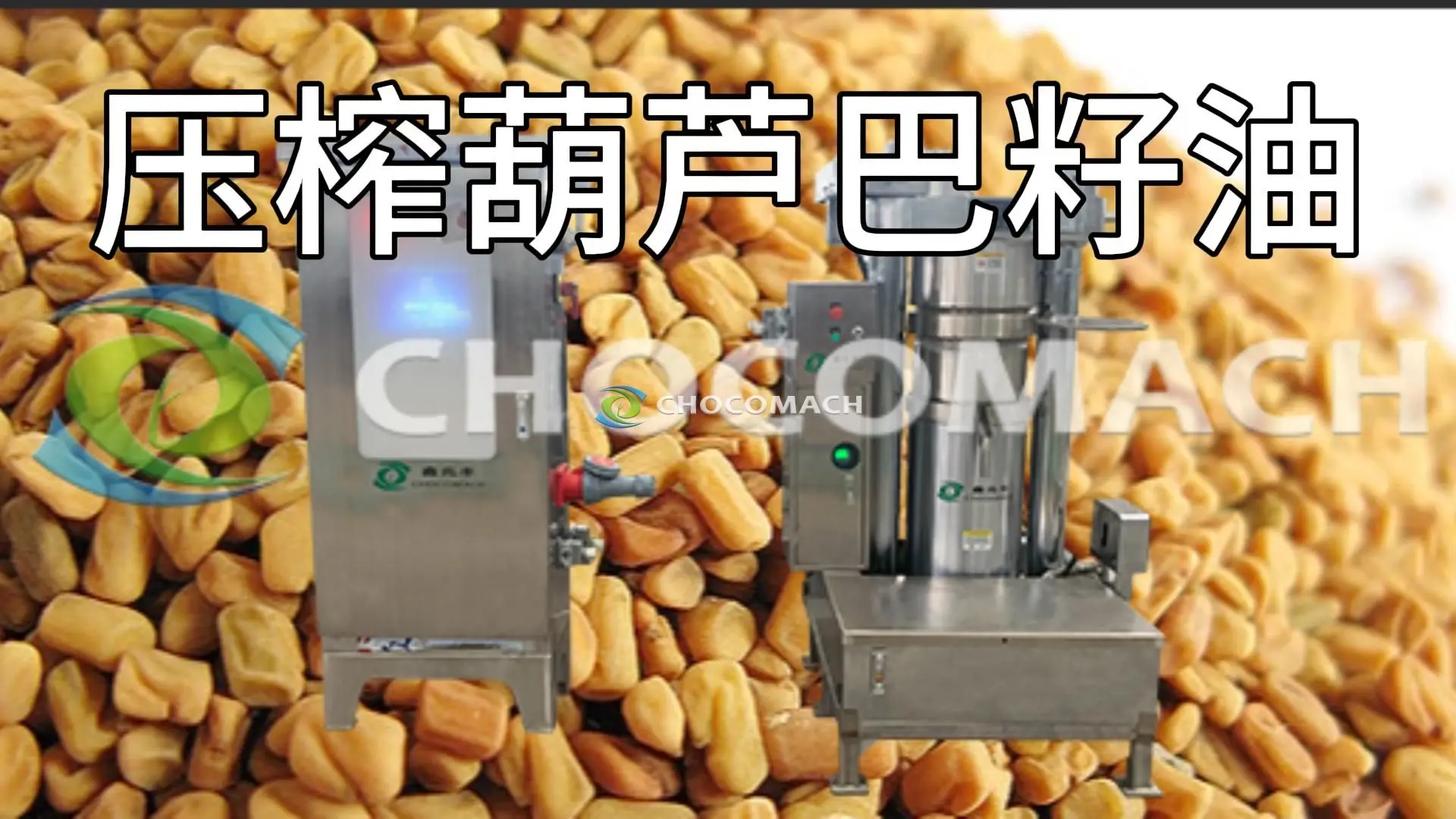 葫芦巴籽榨油机选择指南 | 液压榨油机与螺旋榨油机的优劣势对比