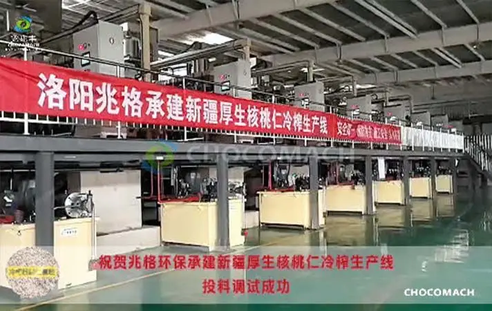 新疆温宿日处理45吨脱衣核桃仁连续液压冷榨生产线（核桃榨油机 YZW45-12）