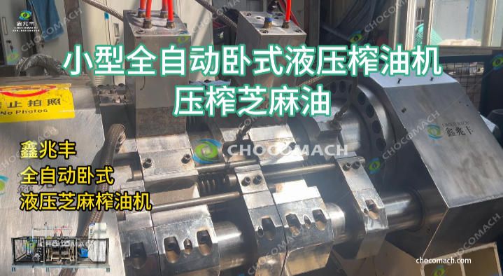 全自动液压芝麻榨油机：精工小微产线与实验室压榨设备应用指南
