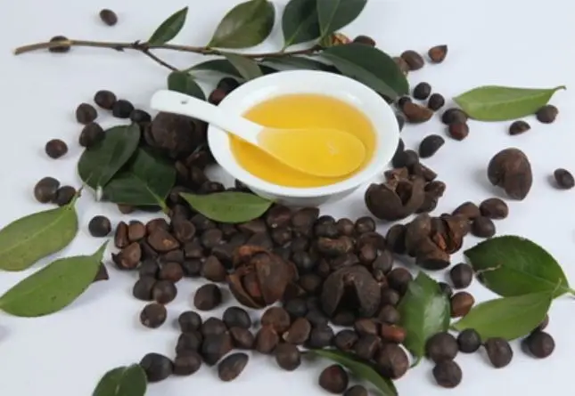 茶籽油2 茶籽油2.webp